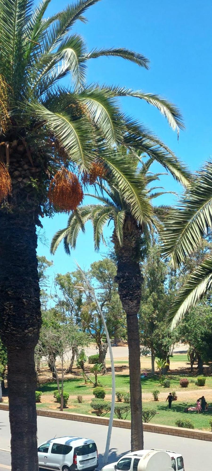 Stay Here, Nice Apartment With Garden View In Center, 1 Min Walk From Beach El Jadida Kültér fotó